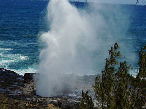 Spouting Horn