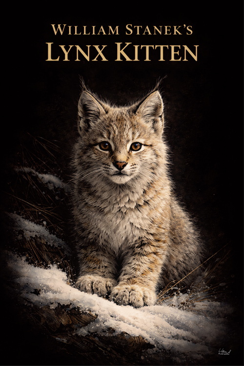 Example Wildlife Art 6